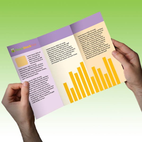 Brochure Tri-Fold - Lite - Image 2